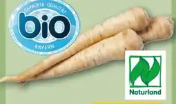 REWE Center Bio-Wurzelpetersilien Angebot