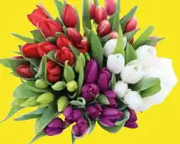 Edeka Edeka Herzstücke Tulpenstrauß Angebot