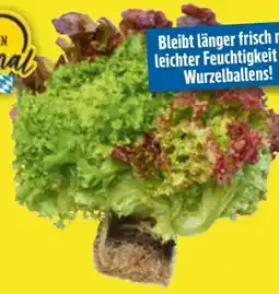 Edeka Ballensalat Trio Mix Angebot