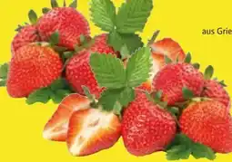 Edeka Erdbeeren Angebot