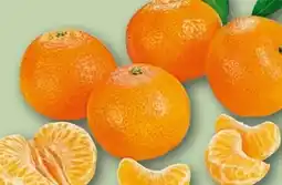 REWE Mandarinen Angebot