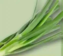 REWE Lauchzwiebeln Angebot