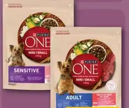 REWE Center Purina One Hundetrockennahrung Angebot