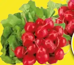 Edeka Radieschen Angebot