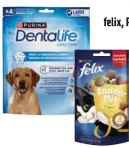 Edeka Purina Felix Knabber-Mix Angebot