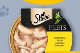 REWE Center Sheba Filets Angebot