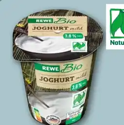 REWE Center Rewe Bio Joghurt Mild Angebot
