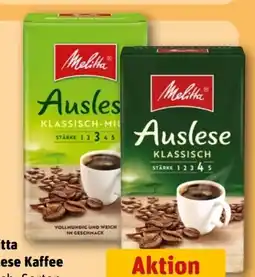REWE Center Melitta Kaffee Auslese Angebot