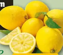 REWE Rewe Bio Zitronen Angebot