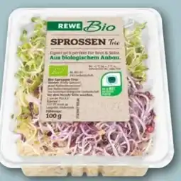 REWE Center Rewe Bio Sprossen Angebot