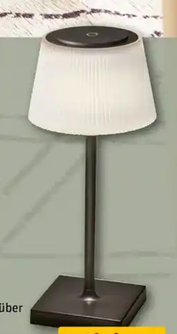 REWE Center Vivess LED-Tischlampe Angebot