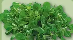 REWE Feldsalat Angebot