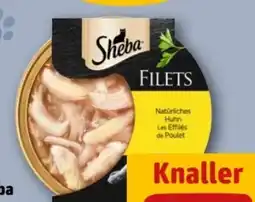 REWE Sheba Filets Angebot