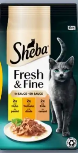 REWE Sheba Katzennahrung Fresh & Fine Angebot