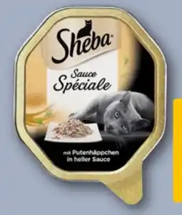 REWE Sheba Katzennahrung Angebot