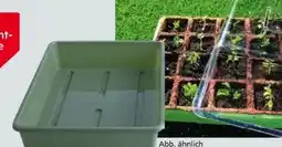 Globus Baumarkt Aussaatschalen Angebot
