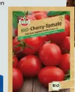 Globus Baumarkt Kiepenkerl Sämereien Angebot