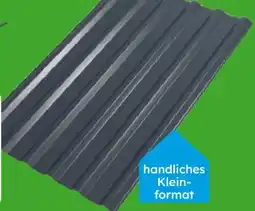 Globus Baumarkt Weckmann Trapez-Profilblech Mini Angebot
