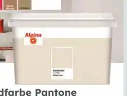 Globus Baumarkt Alpina Innenwandfarbe Pantone Angebot