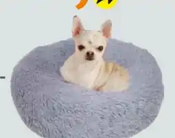 Globus Baumarkt Nobby Kuschelbett Donut Esla Angebot