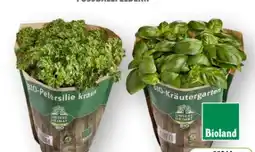 Edeka Unsere Heimat Echt & Gut Bio Petersilie kraus Angebot