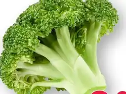 Scheck-in-Center Brokkoli Angebot