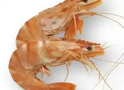 Scheck-in-Center Crevetten Rose Angebot