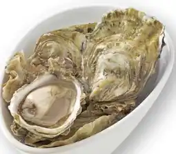 Scheck-in-Center Frische Austern Fine de Claire Angebot