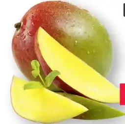 Scheck-in-Center Gut & Günstig Mango Angebot