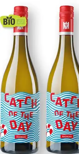 Scheck-in-Center Bioweingut Kaufmann Bio Catch of the day Angebot