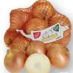 Scheck-in-Center Gut & Günstig Zwiebeln XXL Angebot