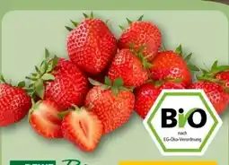 REWE Center Rewe Bio Bio-Erdbeeren Angebot