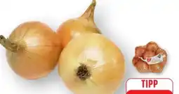 Edeka Gut & Günstig Zwiebeln XXL Angebot