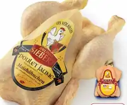 Edeka Les Volailles Bruno Siebert Maishähnchen Angebot