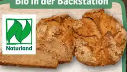 REWE Center Rewe Back-Station Naturland Hausbrot Emmer Angebot