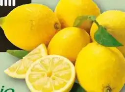 REWE Edeka Bio Zitronen Angebot