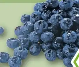 REWE Rewe Bio Heidelbeeren Angebot