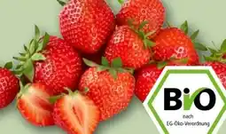 REWE Rewe Bio Bio-Erdbeeren Angebot