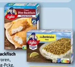 REWE Iglo Filegro-Ofen-Backfisch Angebot