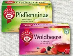 nahkauf Teekanne Kräutertee Minze Angebot