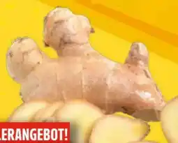 EDEKA Bandelt Bio Ingwer Angebot