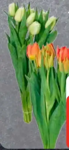 Edeka Frischemarkt Edeka Herzstücke Tulpen Angebot