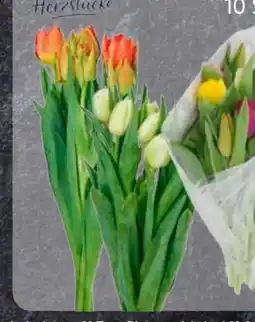 Edeka Tulpen Angebot
