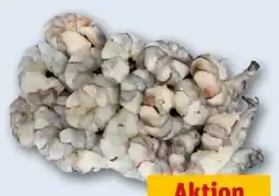 REWE Center Garnelen Angebot