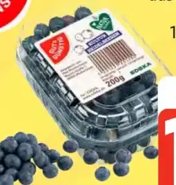 Edeka Gut & Günstig Kulturheidelbeeren Angebot