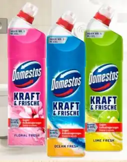 Edeka Domestos WC Gel Kraft & Frische Angebot