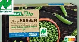 REWE Center Rewe Bio Junge Bio-Erbsen Angebot