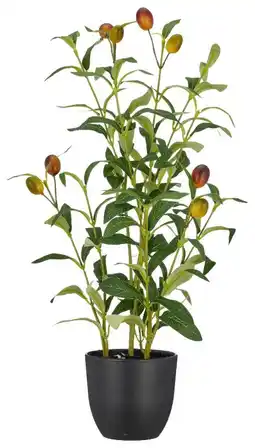 Mömax KUNSTPFLANZE OLIVENSTRAUCH Angebot