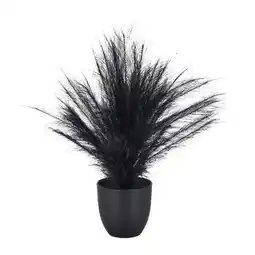 Mömax Kunstpflanze Pampasgras Angebot