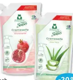 Budni Frosch Flüssigseife Angebot